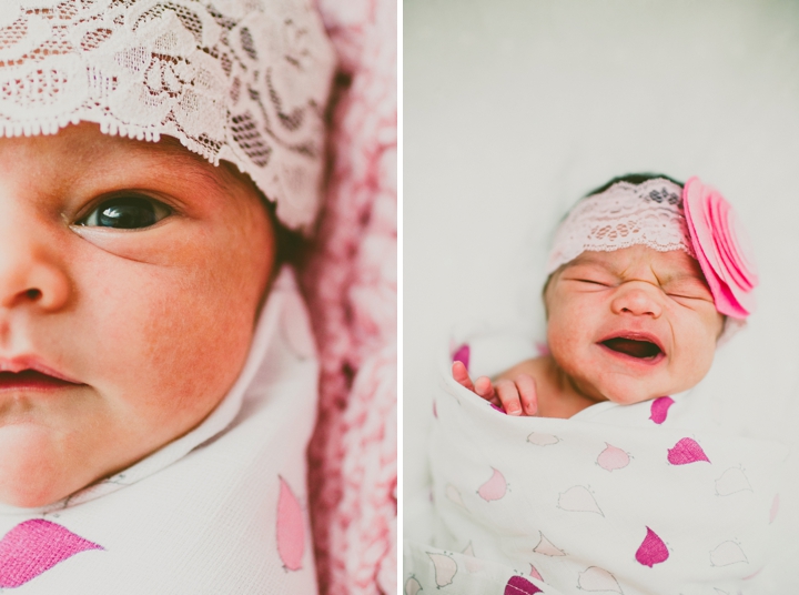 Newborn portraits Greenville