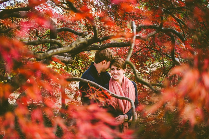 Japanese maple engagement session