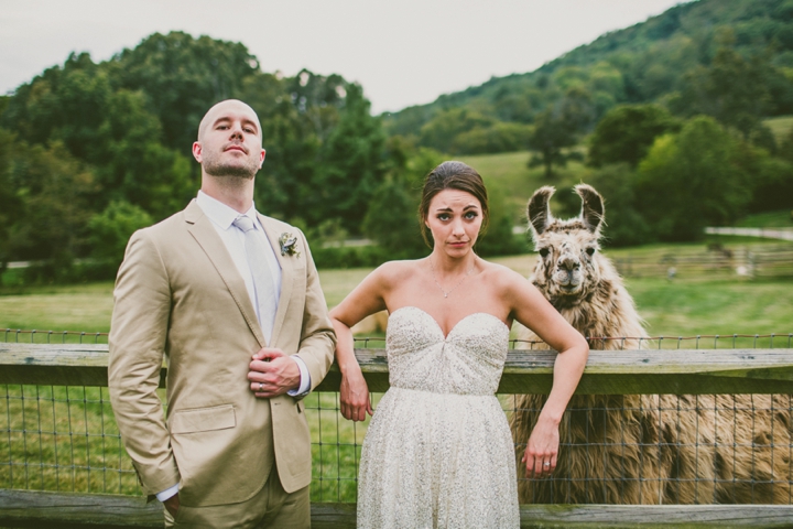 Couple standing by llama at wedding in Asheville