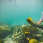 GoPro Hero 4 Photographers in Belize