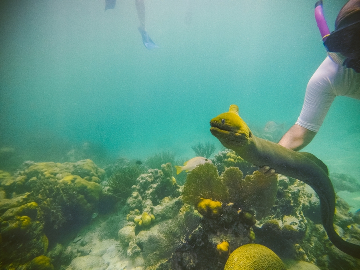 GoPro Hero 4 Photographers in Belize