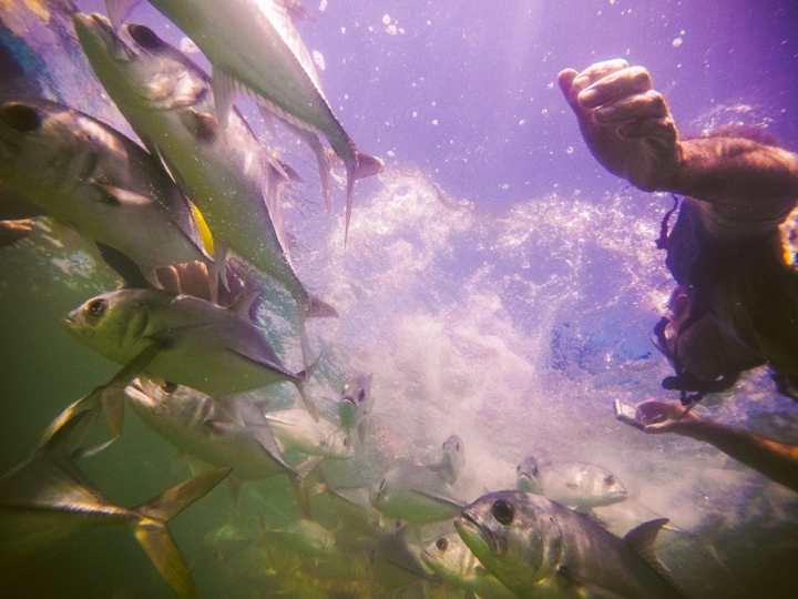 GoPro Hero 4 Photographers in Belize