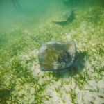 GoPro Hero 4 Photographers in Belize