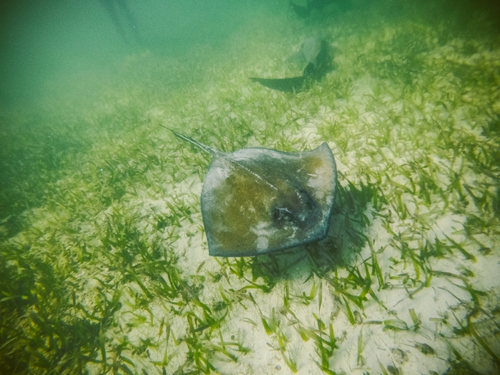 GoPro Hero 4 Photographers in Belize