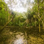 GoPro Hero 4 Photographers in Belize
