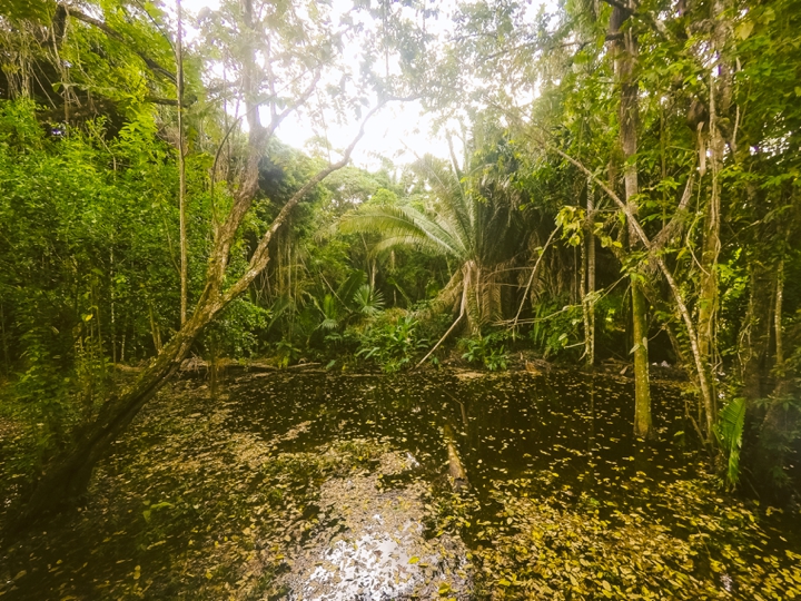 GoPro Hero 4 Photographers in Belize