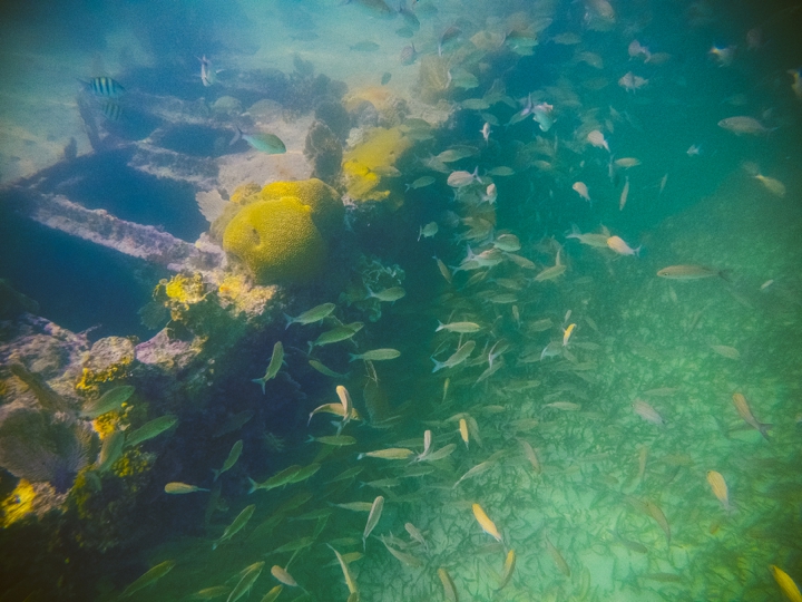 GoPro Hero 4 Photographers in Belize