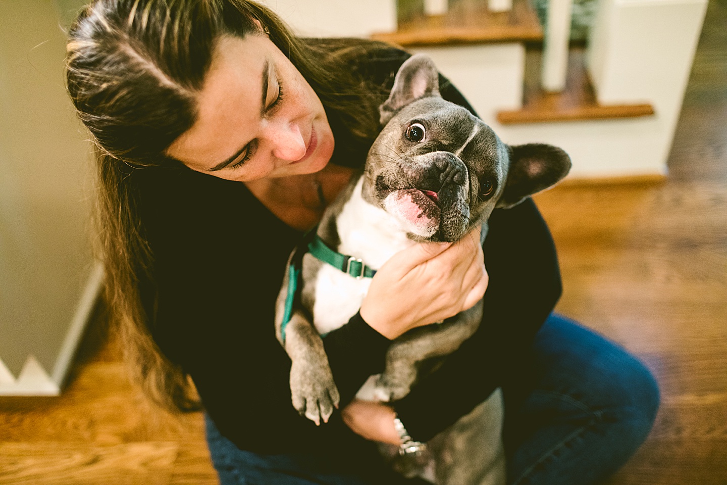 Raleigh pet photographer