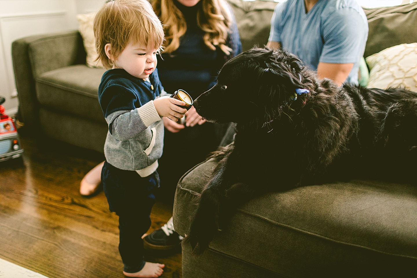 Kid holding out a candle for a dog to smell