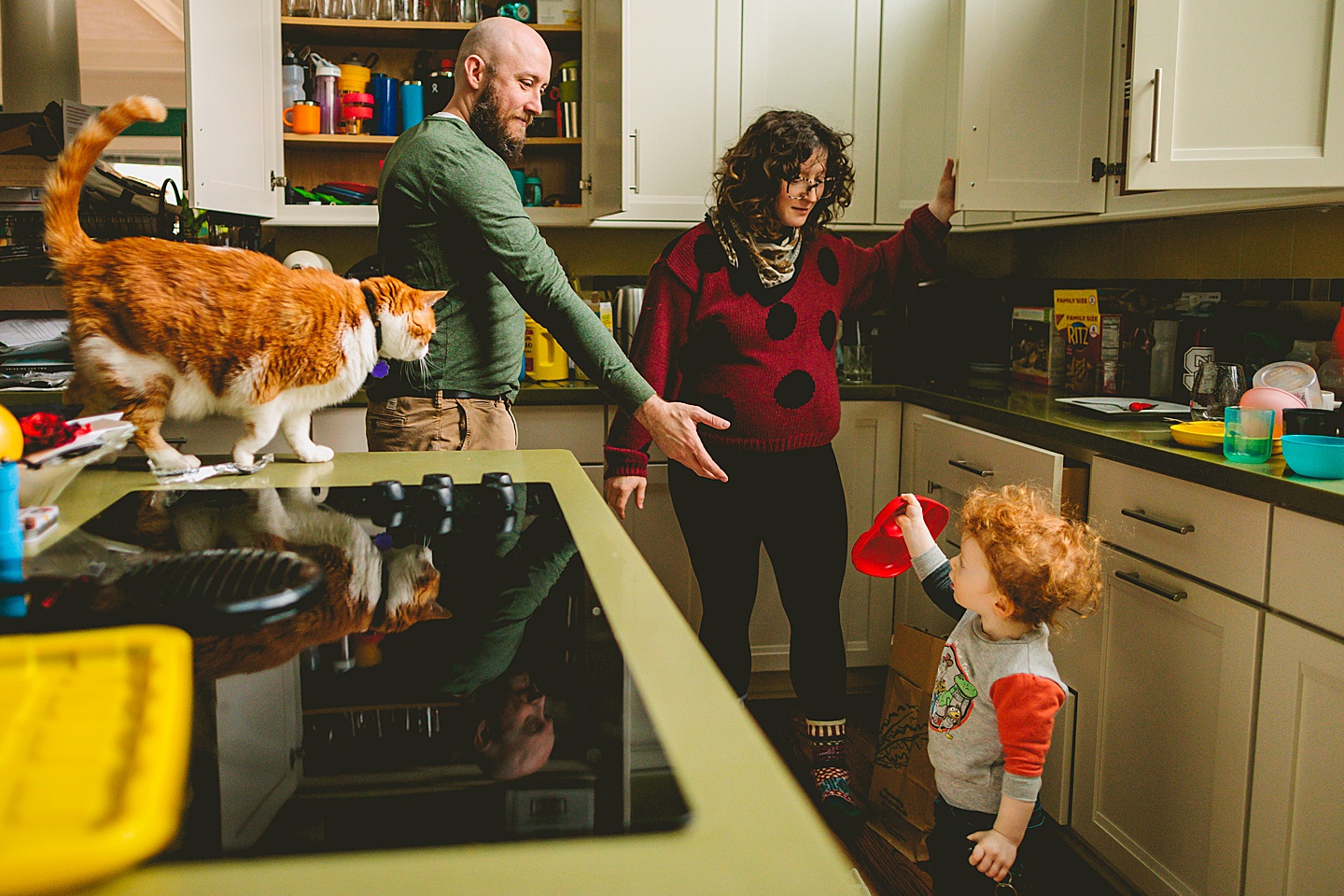Toddler unloading dishwasher and helping to hand dishes to his parents while tabby cat stands on counter