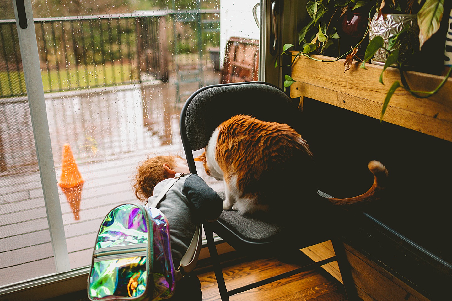 Kid talking to his cat