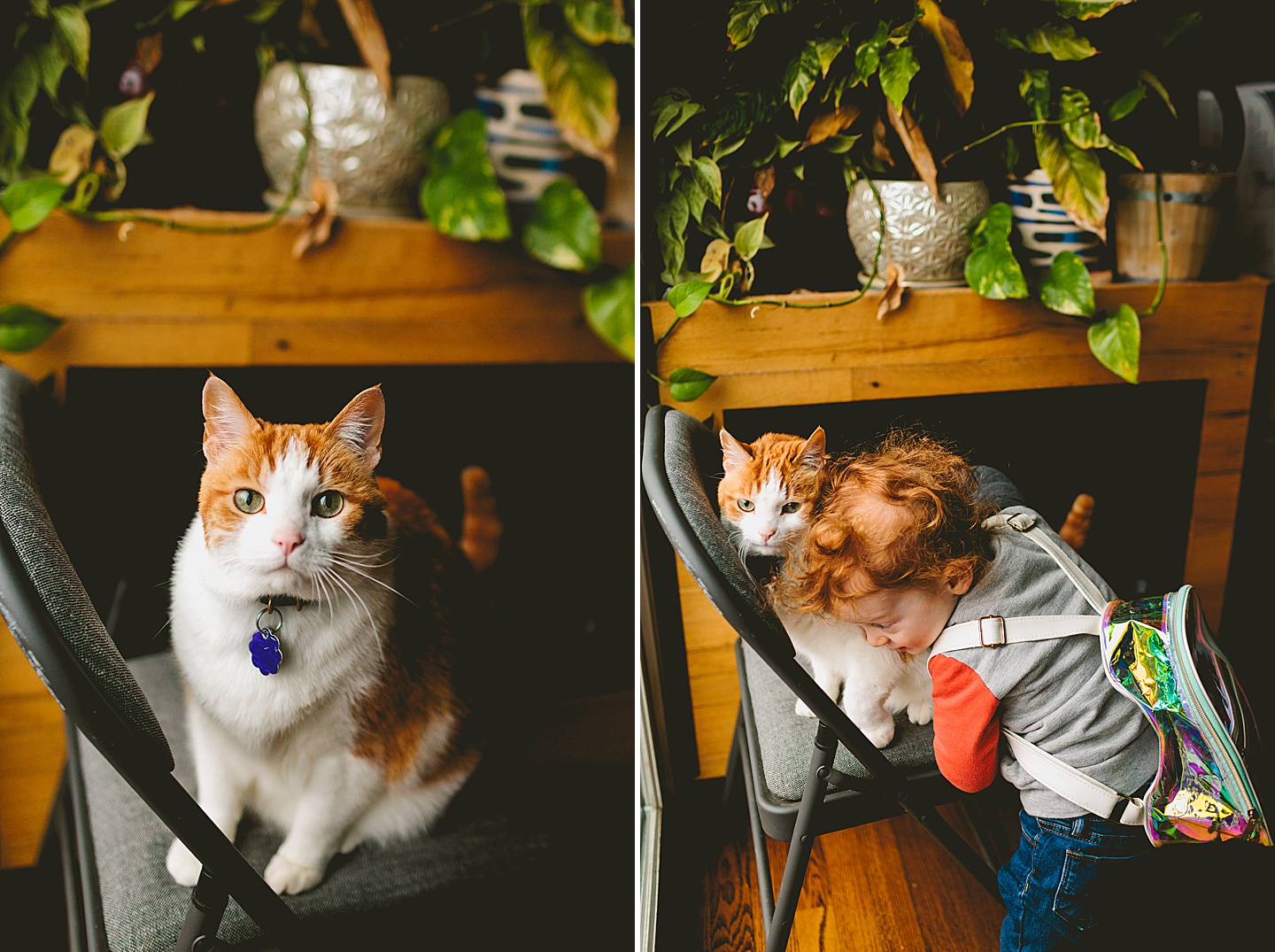 Toddler giving his cat a hug