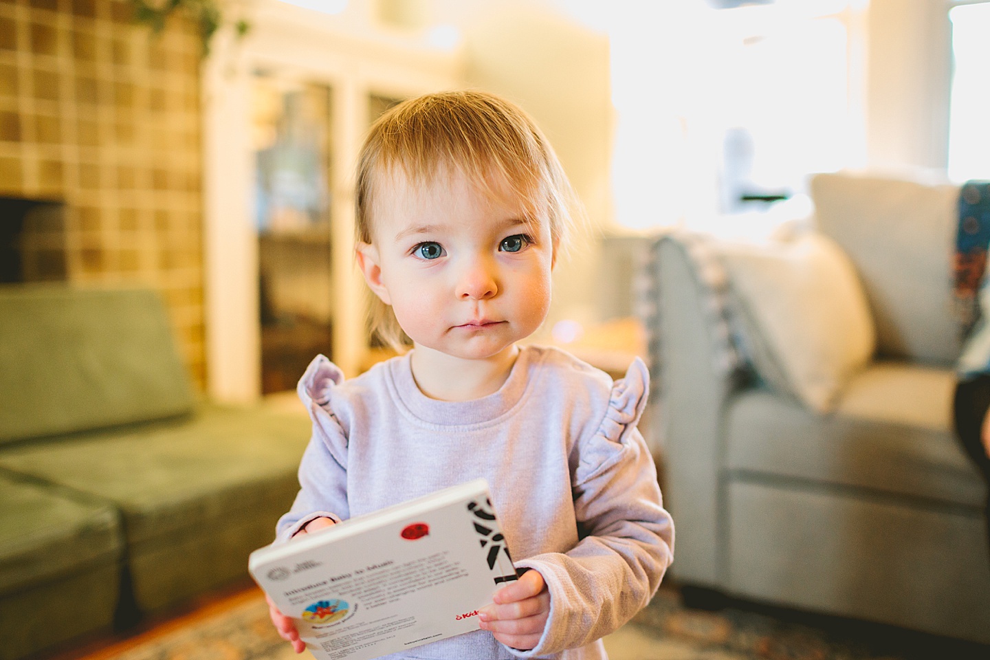 portrait of a toddler holding a book