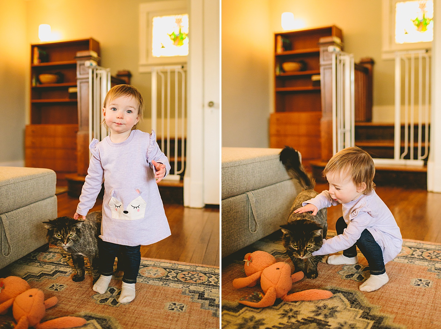 toddler hugging cat