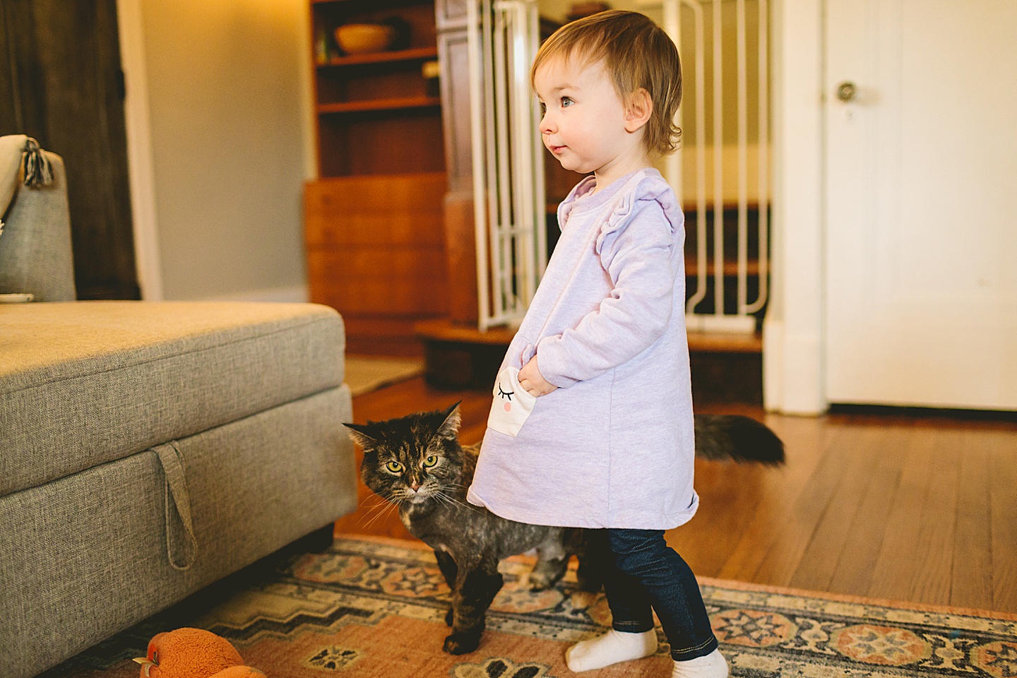 toddler and cat with lion cut