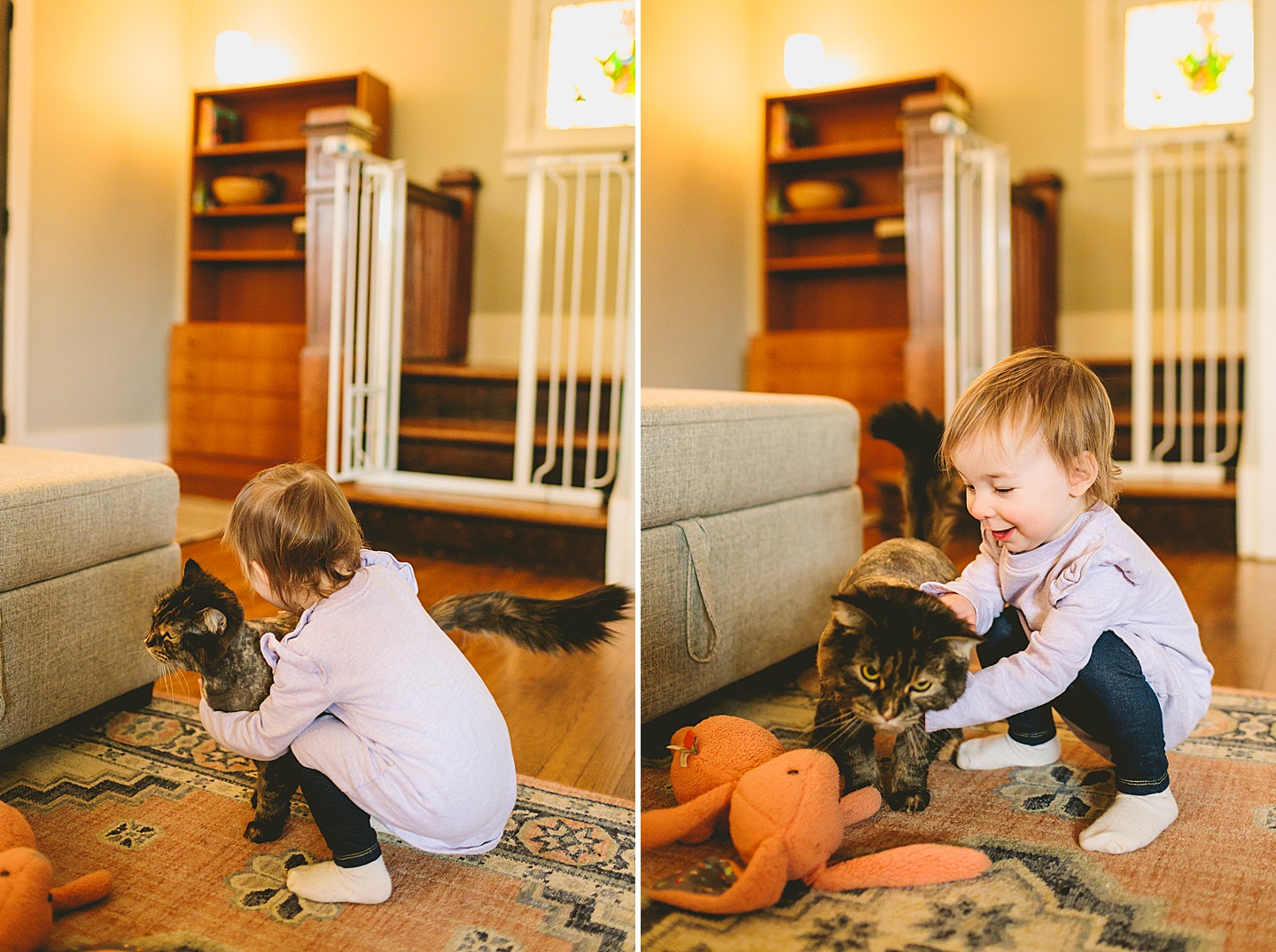 toddler and cat with lion cut