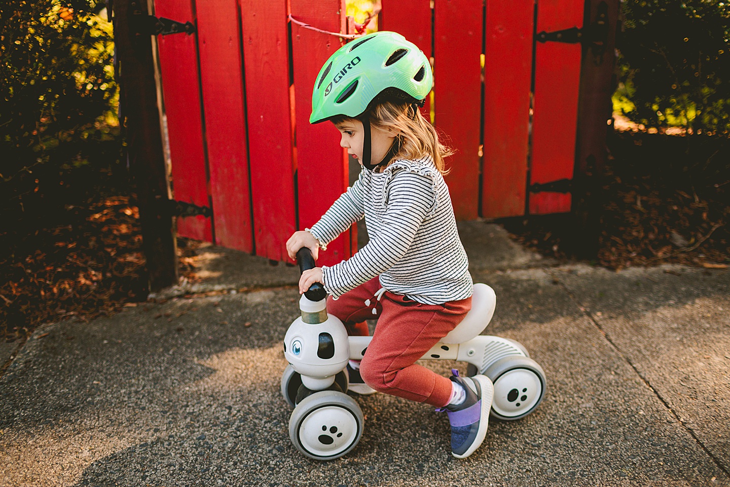 Girl riding puppy bike down sidewalk