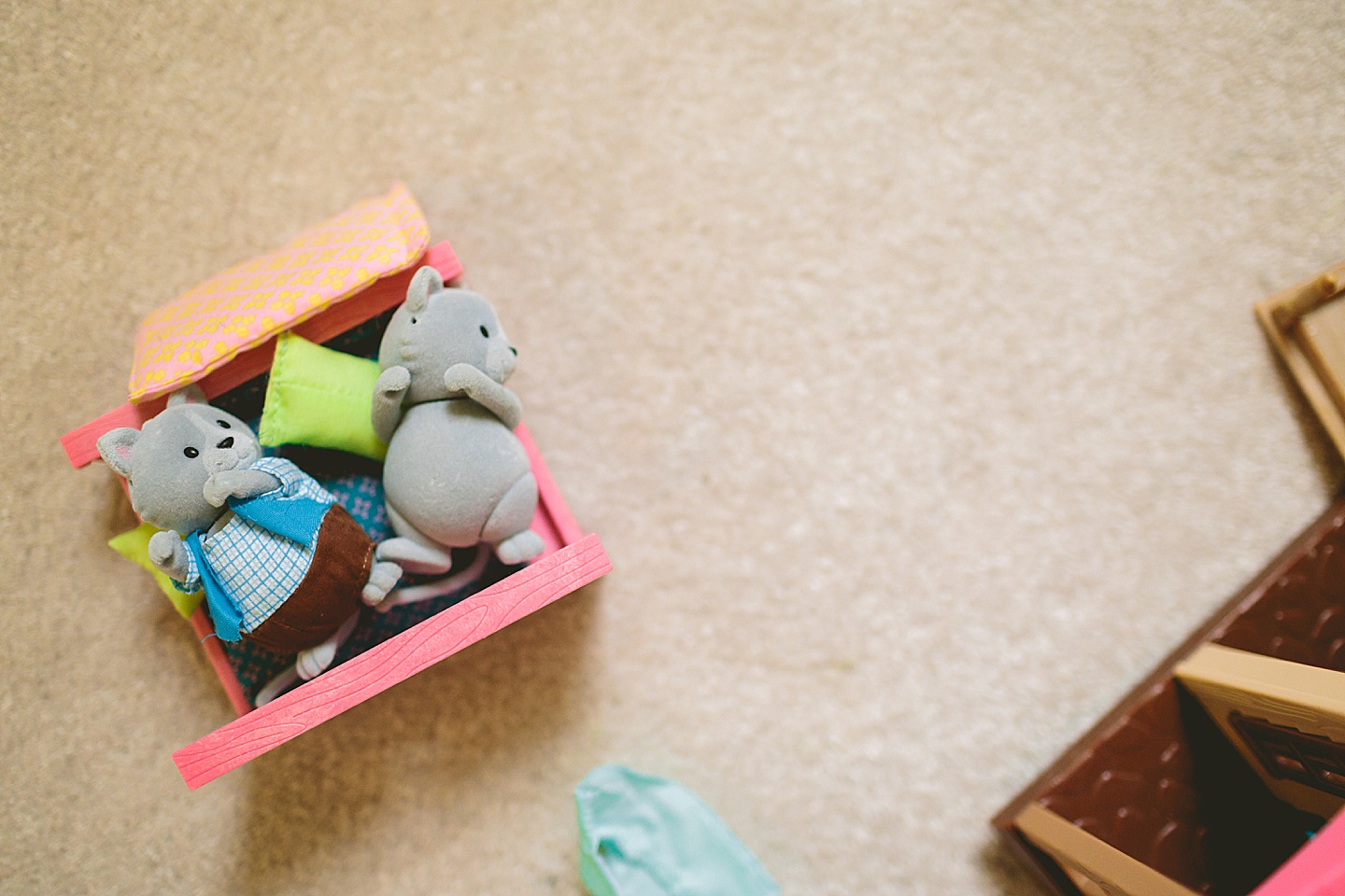 Cat toys laying in bed