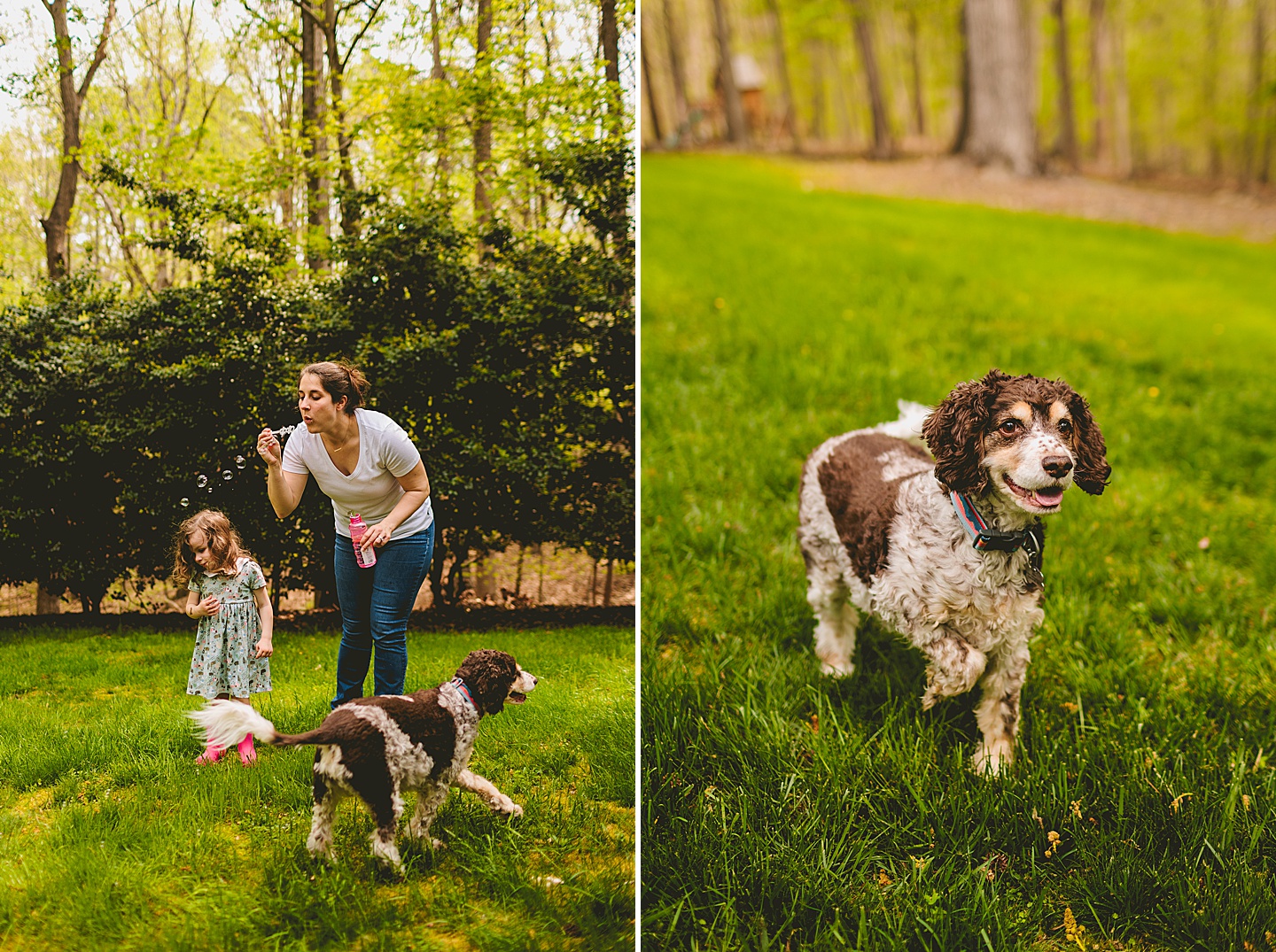 Mom blowing bubbles for daughter and portrait of dog