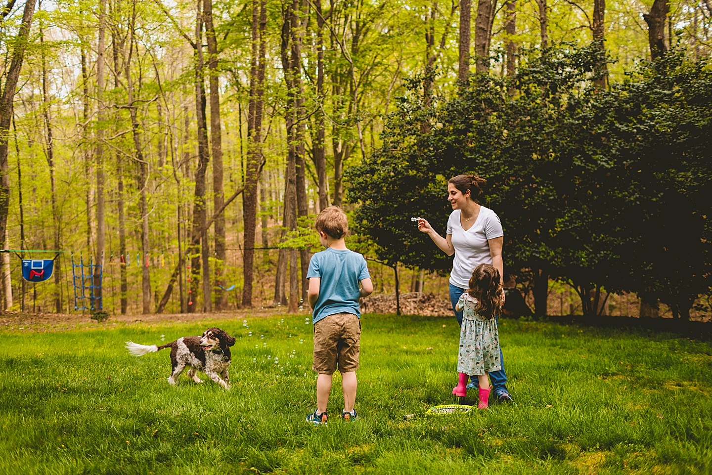 Raleigh pet portrait photographer