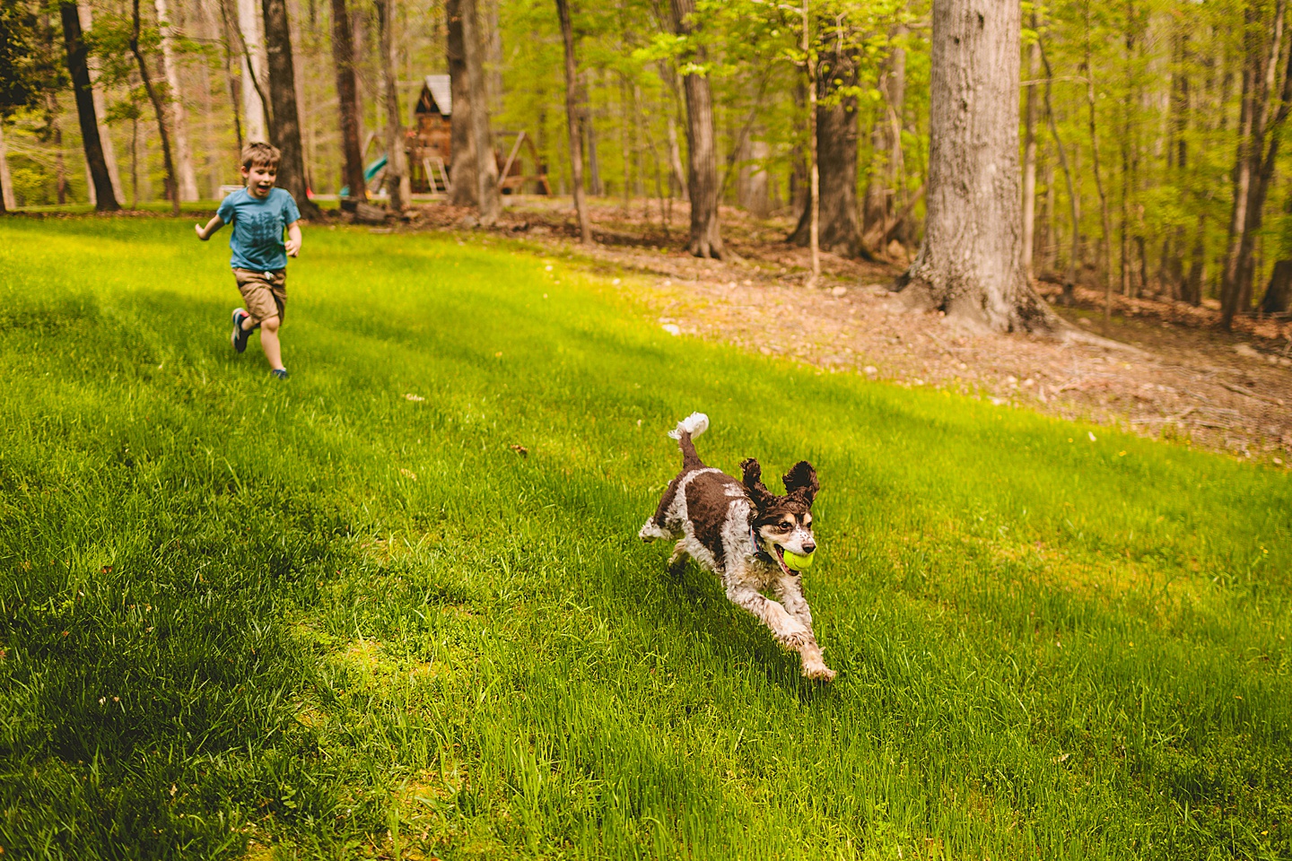 Raleigh pet portrait photographer