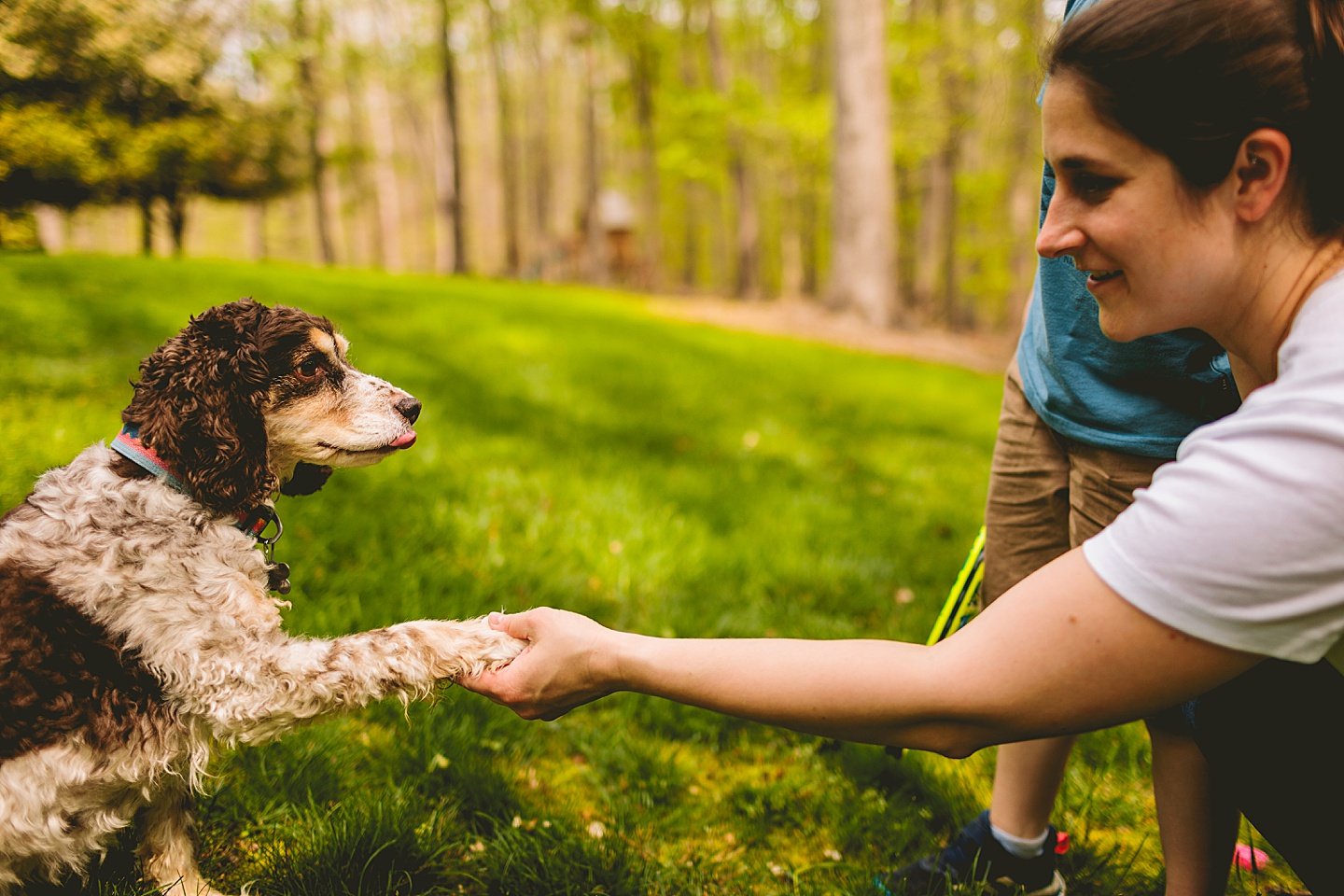 Mom shaking paws with a dog