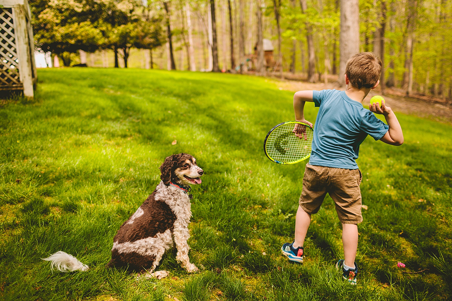 Boy throwing tennis ball for a dog