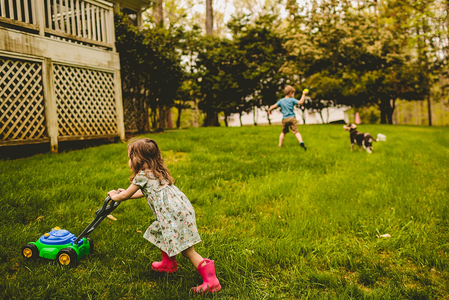 Kids playing in their backyard in Raleigh