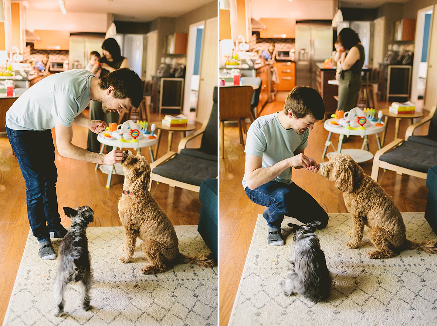 Man giving treats to Schnauzer and Golden Doodle dogs