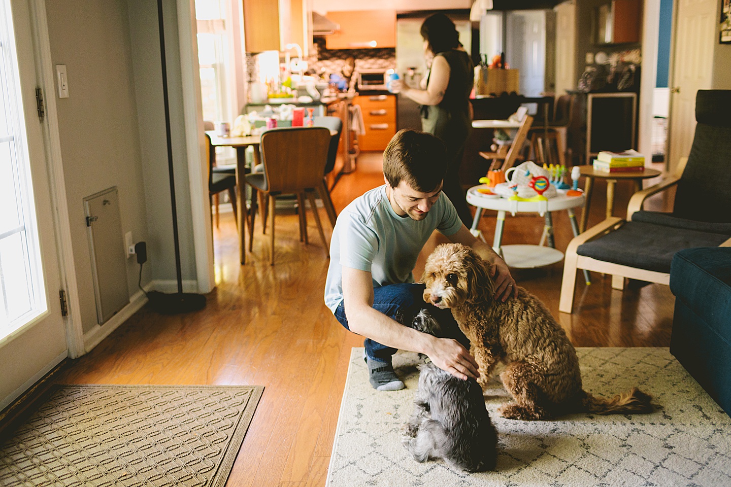 Man giving treats to Schnauzer and Golden Doodle dogs