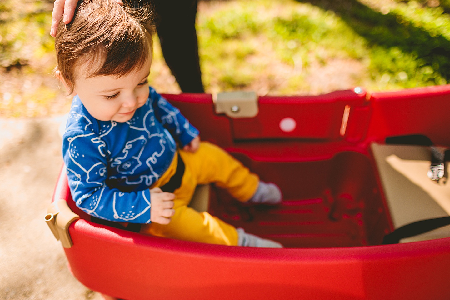 Baby in little red wagon