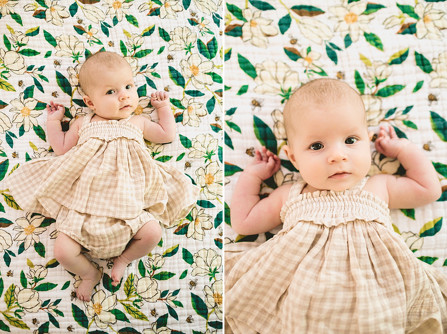 3 month old baby portraits in Chapel Hill