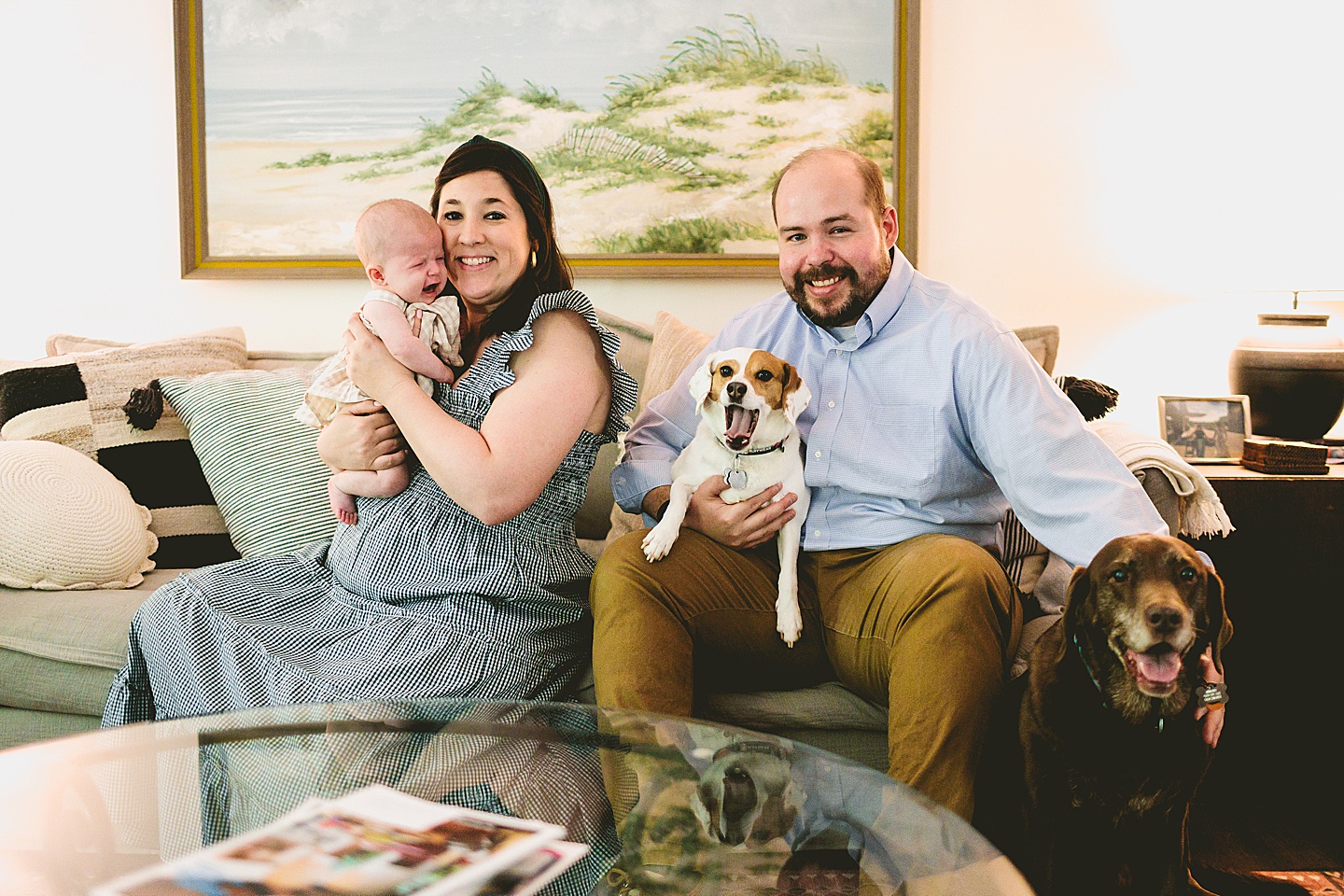 Portrait of two dogs and a baby