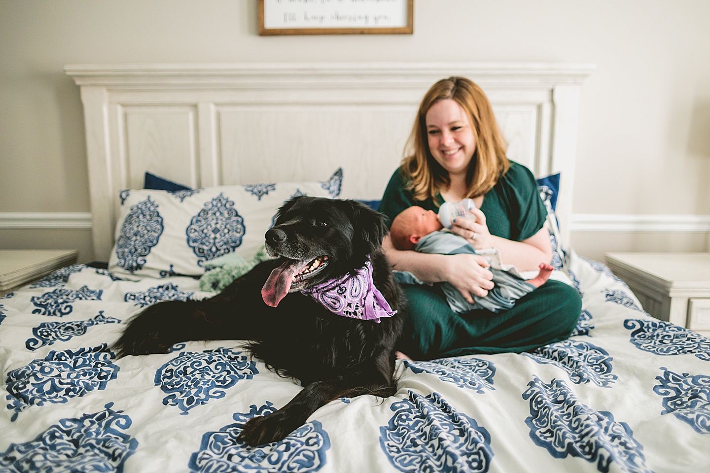 Dog sitting on the bed with mom and newborn
