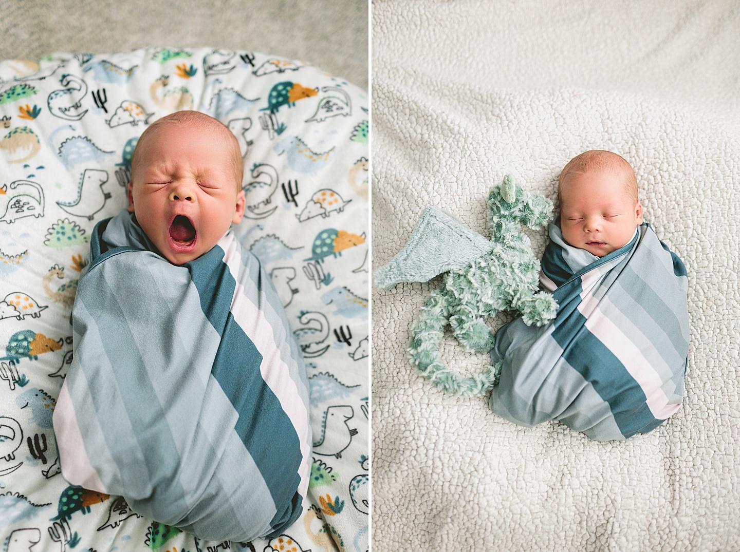 Simple newborn baby photos with dragon toy