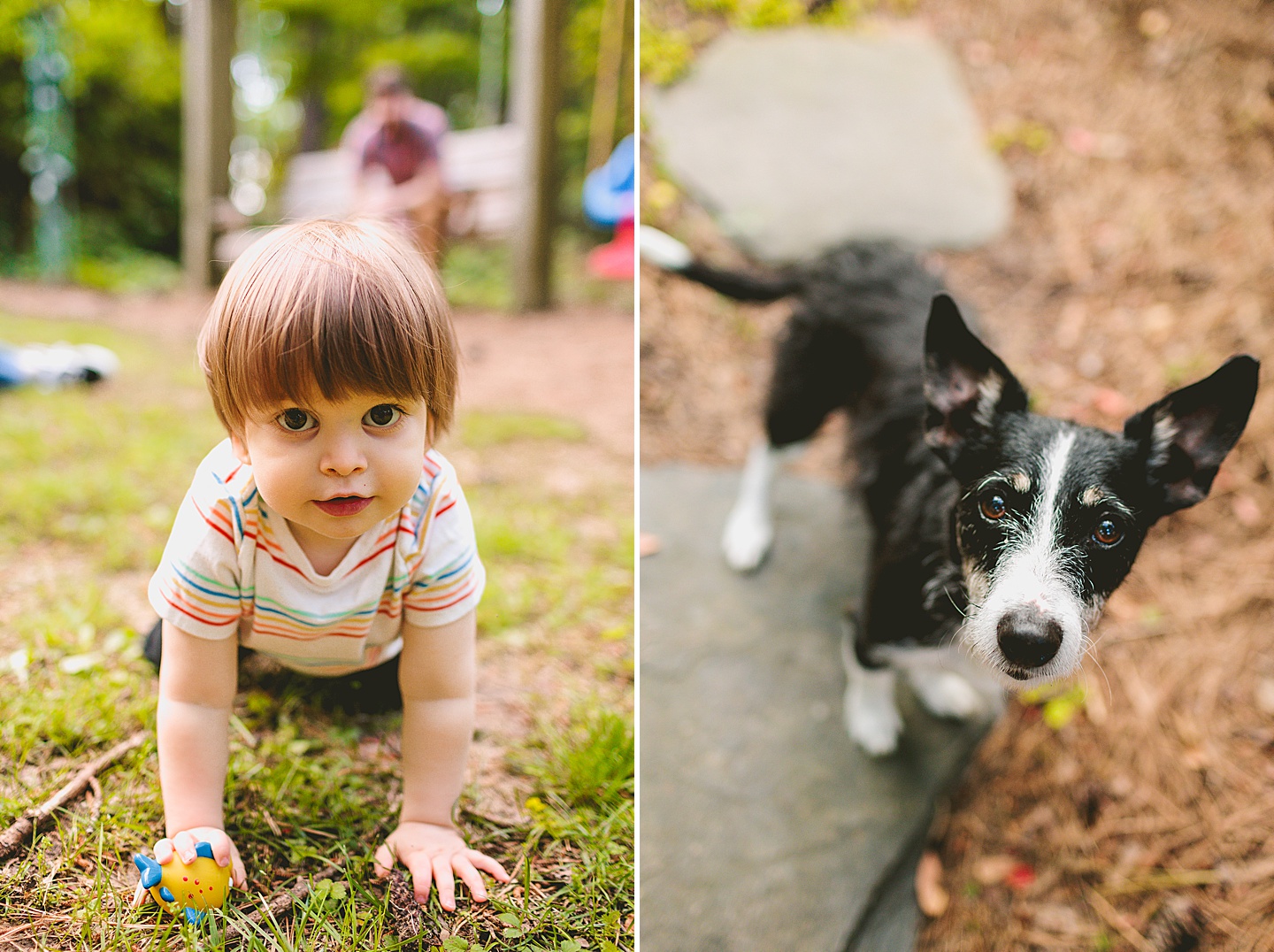 Toddler and dog portrait
