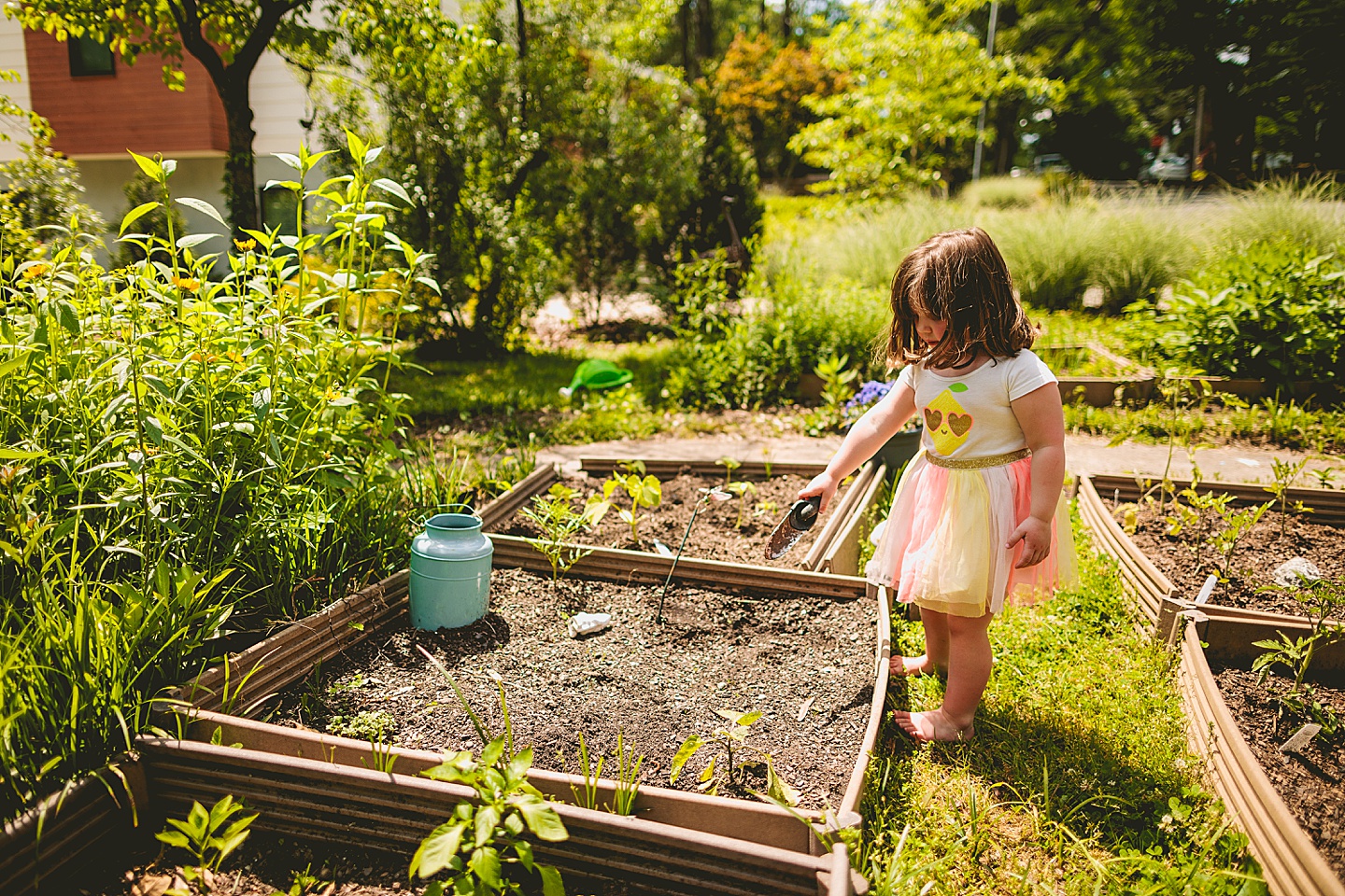 Family gardening in Durham NC