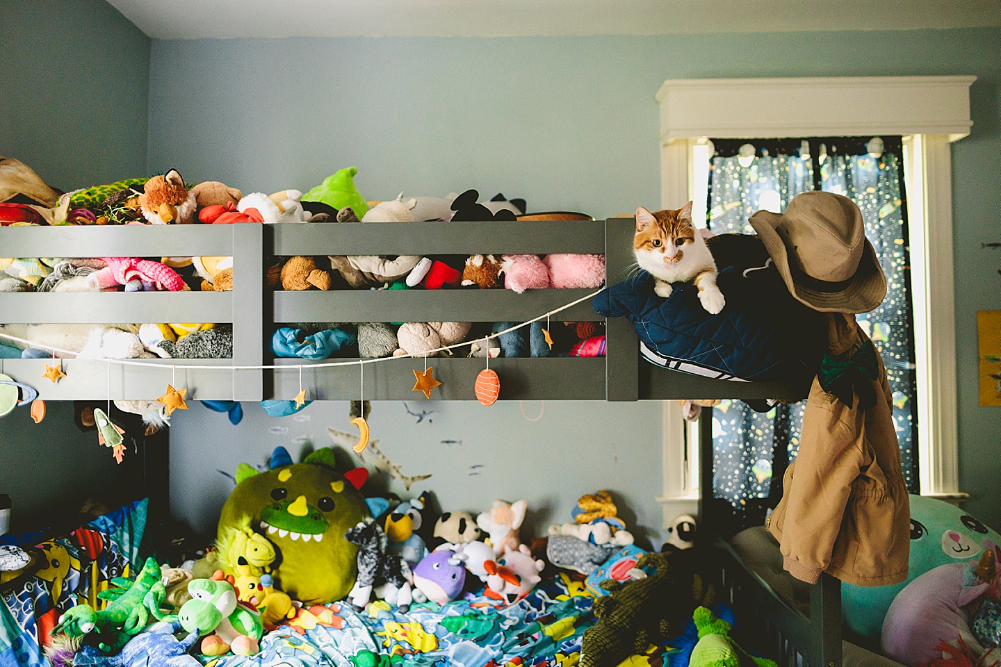 Cat sleeping amongst stuffed animals