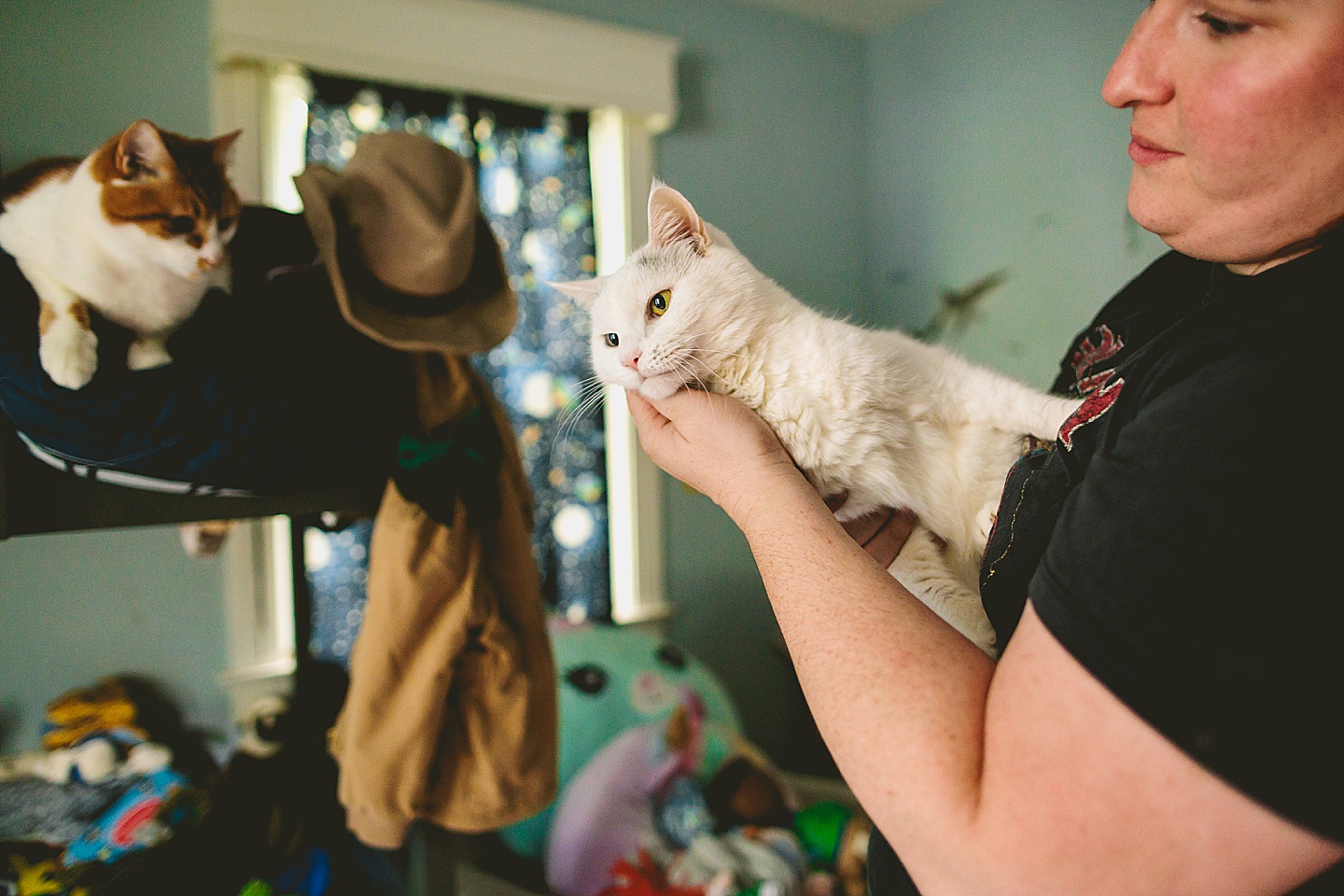 White cat with blue and green eyes