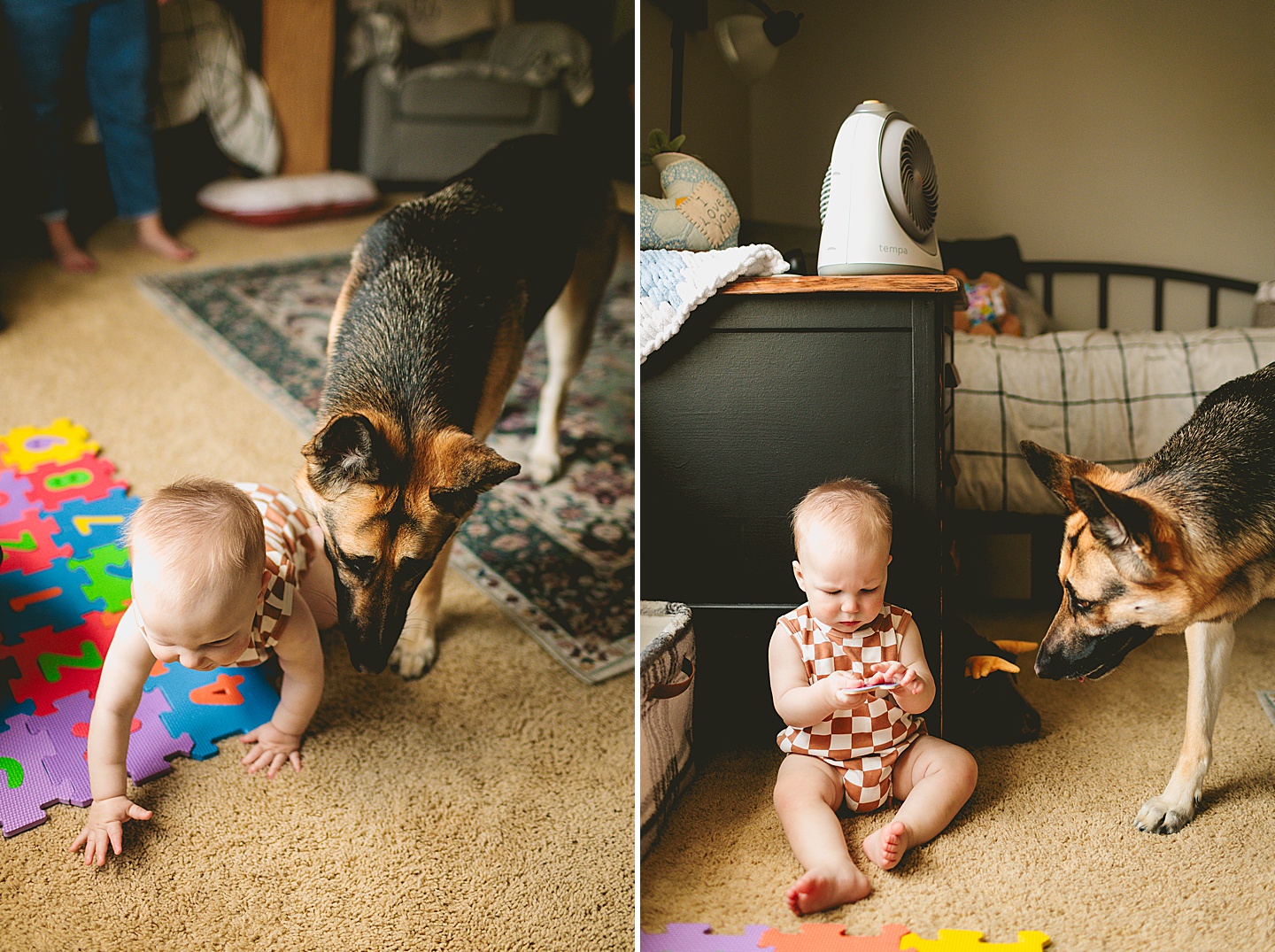 Baby and german shepherd