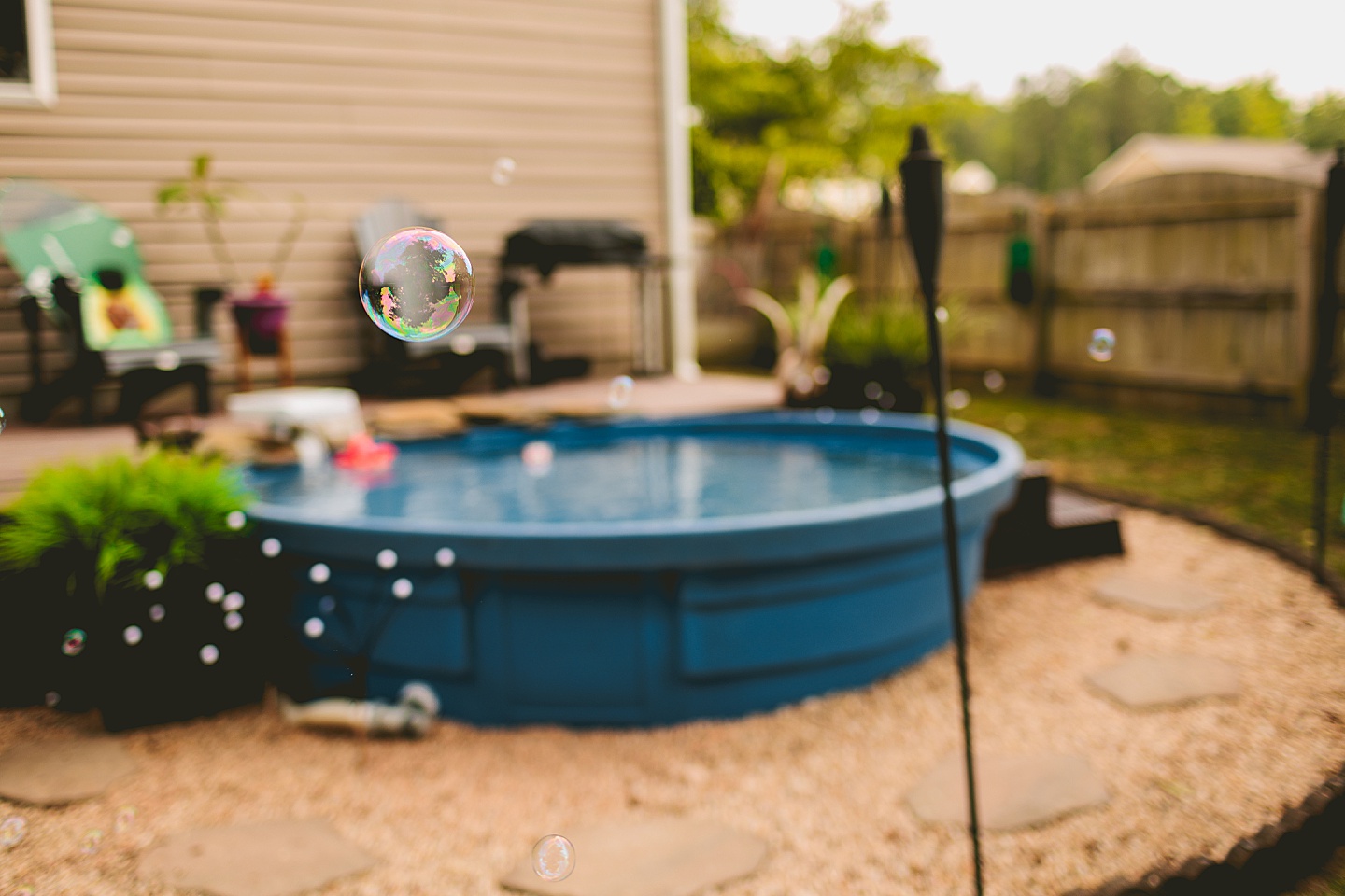 Bubble floating in back yard