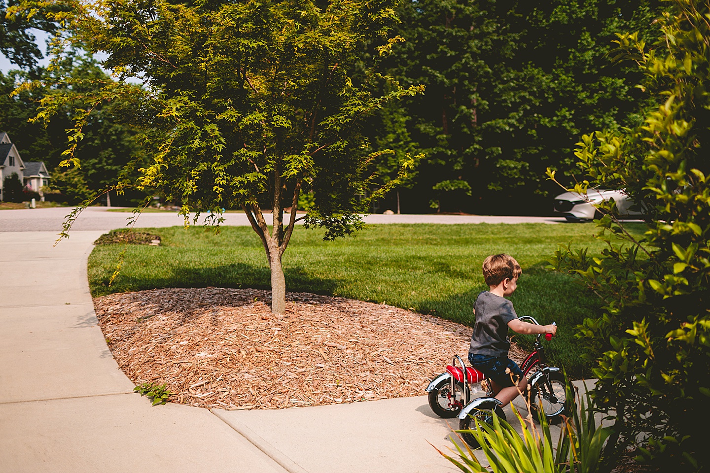 Child riding a tricycle through yard