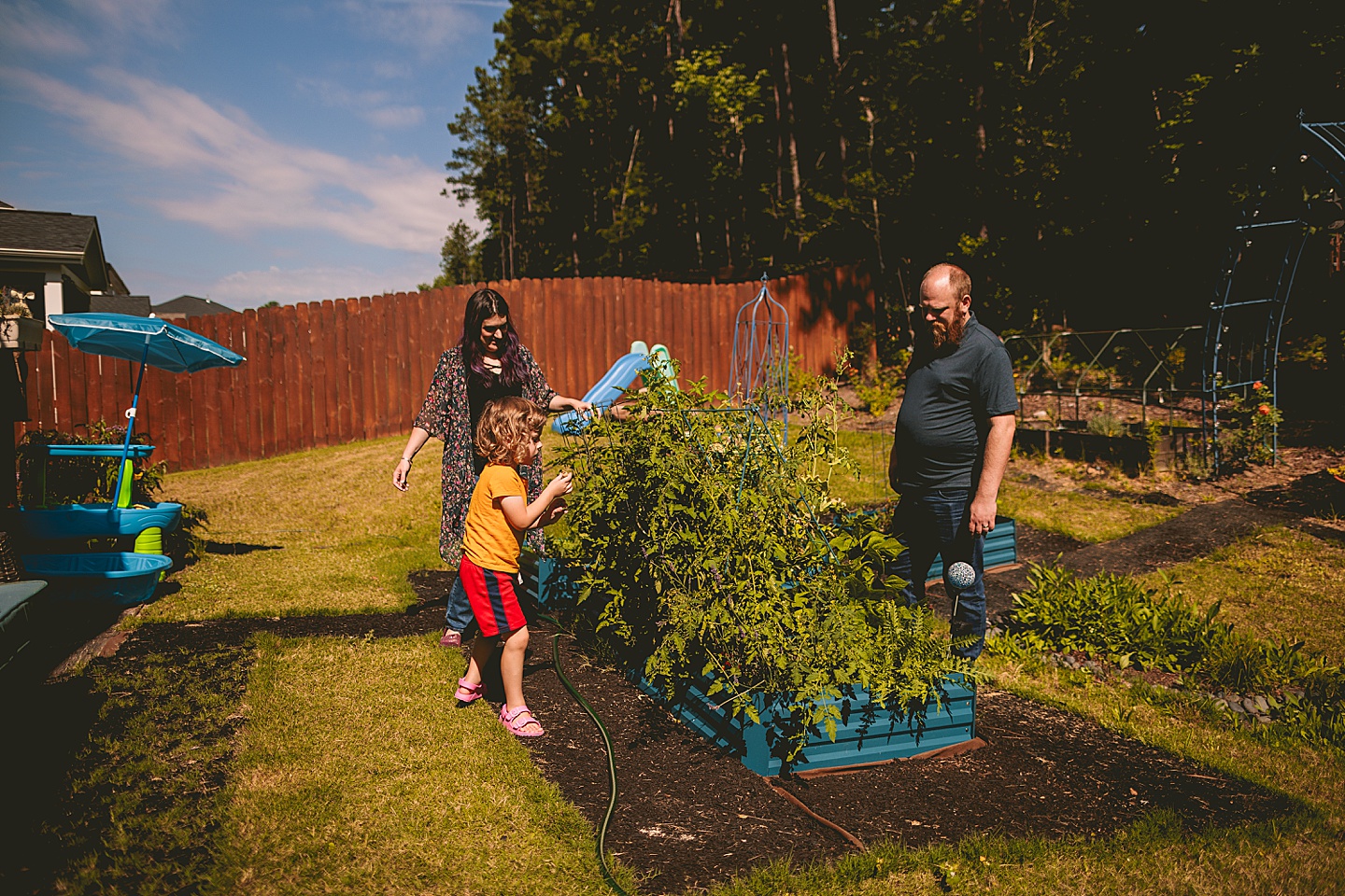 Family photos in Holly Springs of a family gardening in their backyard