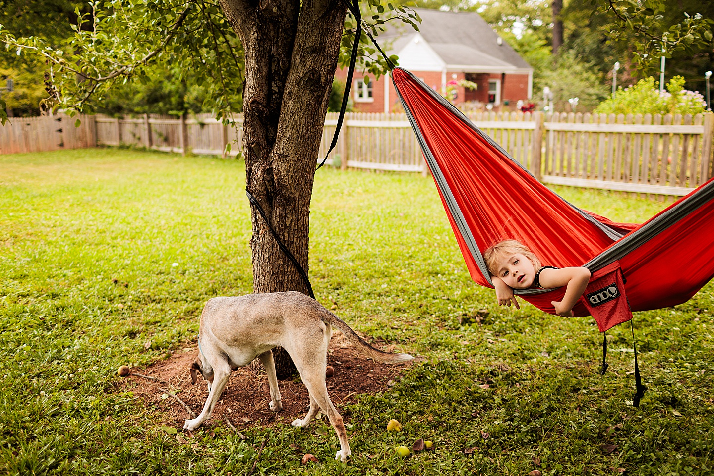 Child in hammock