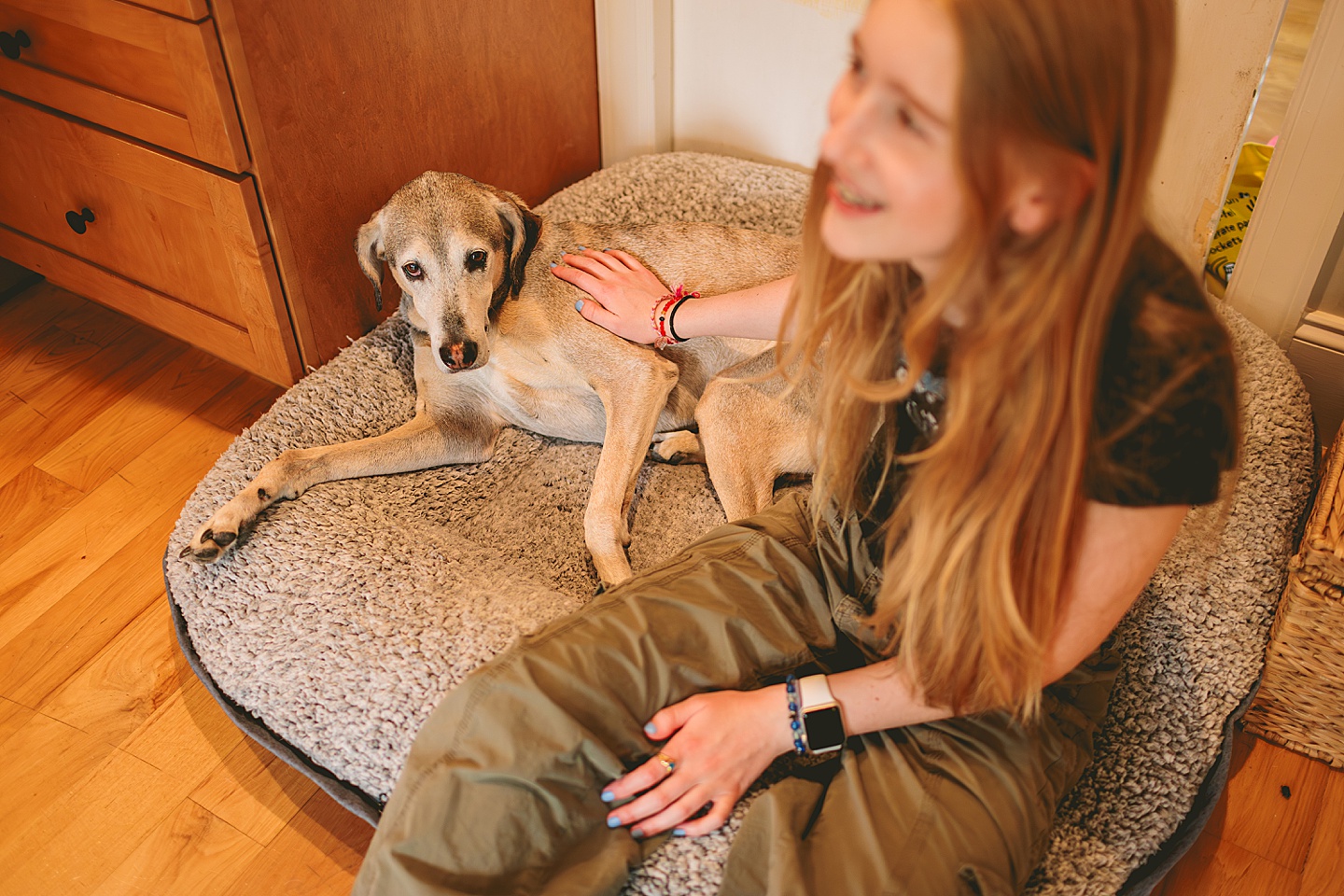 Dog portrait in kitchen