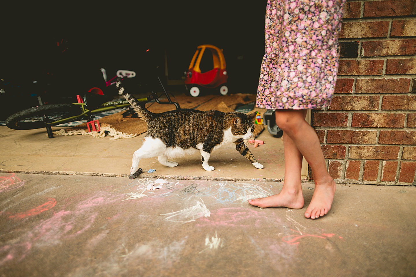 Sidewalk chalk and cat