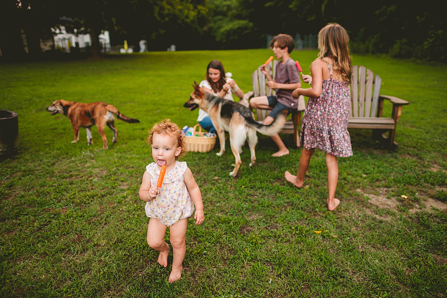 Durham NC best family photographers