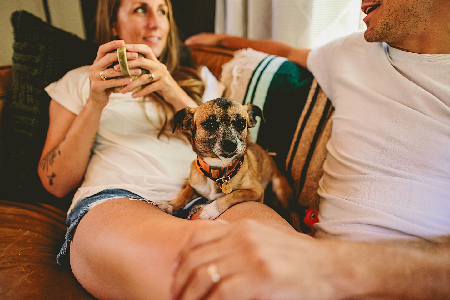 Couple sitting on couch with small dog at home in Hillsborough