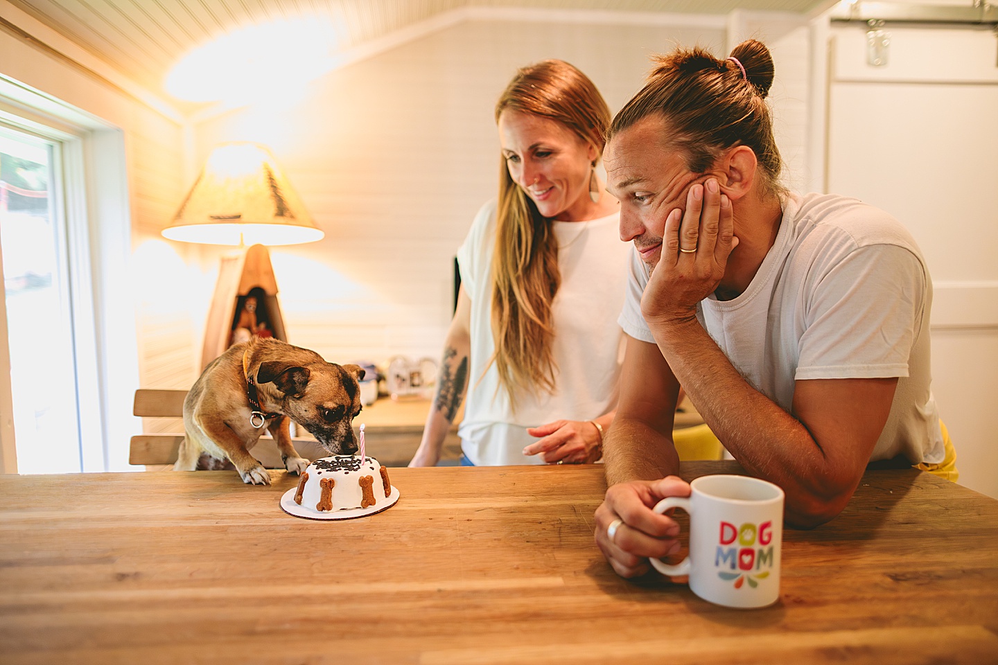 Dog gotcha day cake pictures 