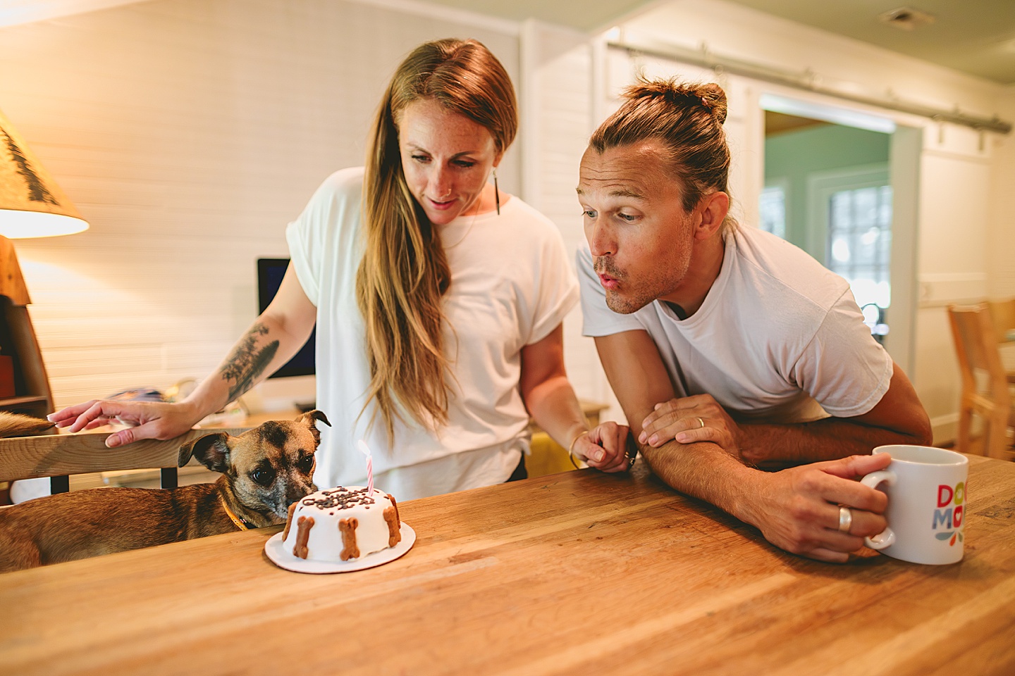 Dog gotcha day cake pictures 